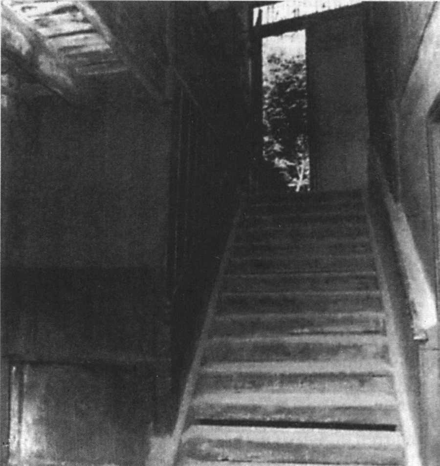 Лестница в Бато-Лавуар